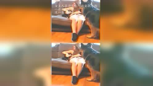 隔壁老王视频国产电影,国产电影中的邻里温情与时代变迁