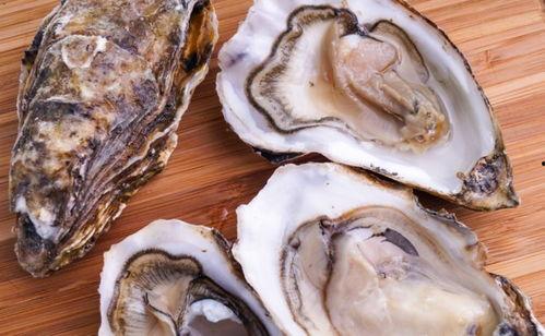 国产生蚝区分真假图片视频