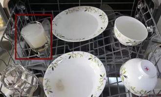 国产雪拉碗测评视频下载,深度解析与真实体验分享