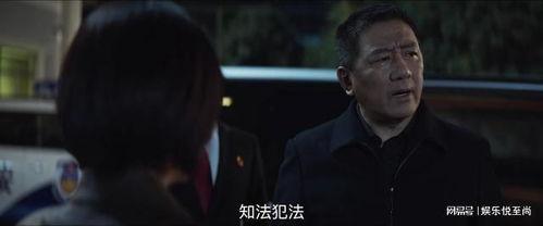 国产老虎大结局视频播放