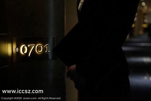 国产精品短视频站长工具,一站式工具助力内容优化与传播