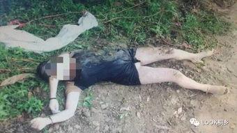 国产女尸免费视频网站,暗流涌动的网络迷局