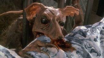 国产恐怖片女子接吻视频,国产恐怖片中的禁忌之吻