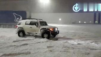 国产牛皮车视频大全,视频大全中的经典车型盘点