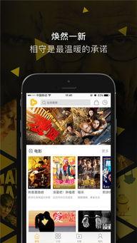 国产综艺视频播放器,引领潮流的视听盛宴