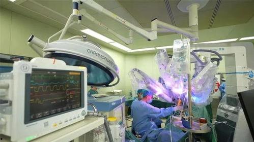 国产医械设备视频,引领医疗科技新篇章