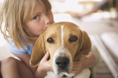 狗狗哄宝宝视频国产,狗狗哄宝宝温馨视频走红网络