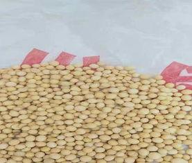 进口国产大豆视频  第3张