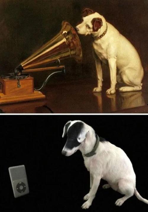 国产B级操道狗和人视频,一场跨越物种的温情互动  第3张