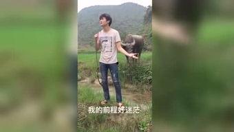 国产夜间福利视频,揭秘光影中的情感共鸣与视觉盛宴  第2张